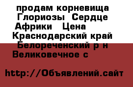 продам корневища  Глориозы  Сердце  Африки › Цена ­ 300 - Краснодарский край, Белореченский р-н, Великовечное с.  »    